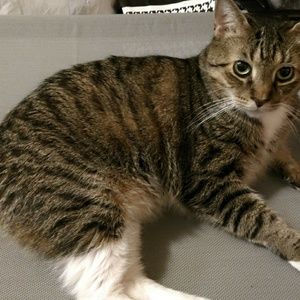 Meet your Posher, Hillary